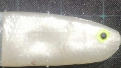 SOFTBAIT MANUAL PAINT RYVALURES