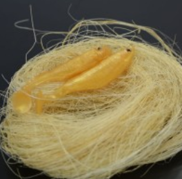 Pigment Perlový Zlatý