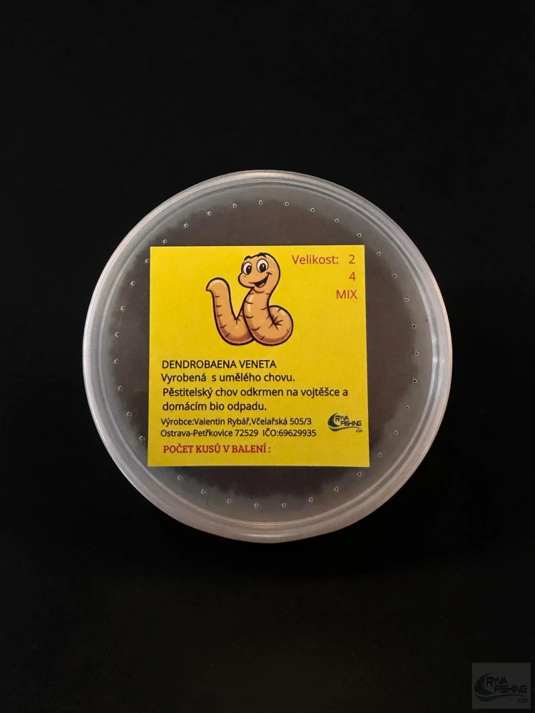 DENDROBENA VENETA -VLASTNÍ CHOV -100KS - RŮZNÉ VELIKOSTI