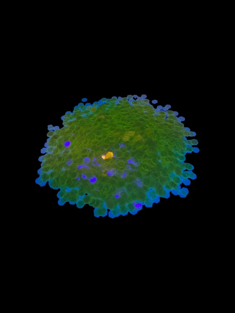 RyvaLures glitter Fluorescent Yellow 20g - 3,0mm