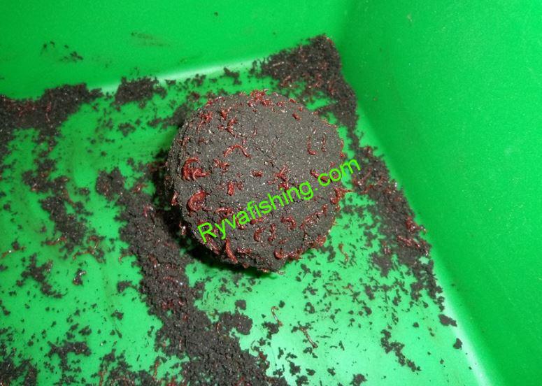 PATENTKA ŽIVÁ MALÁ DO KRMENÍ (JOKERS)RUSKÁ 1KG