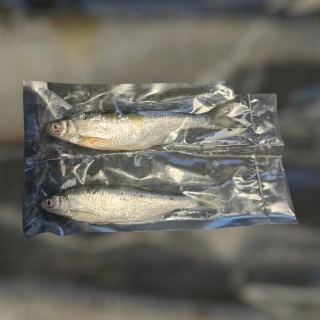 MRAŽENÁ NÁSTRAŽNÍ RYBIČKA  OUKLEJ 15CM+2KUSY