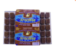 ARTEMIE MRAŽENÁ V BLISTRU 100G