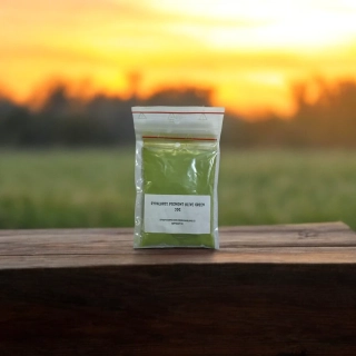 RYVALURES-PIGMENT STANDART OLIVE GREEN 20G