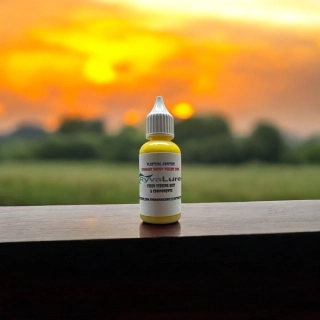 RYVALURES PLASTISOL COLOR STANDART HONEY YELLOW 30ML.