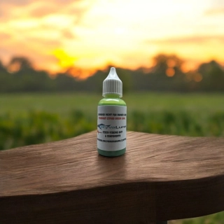 RYVALURES-SOFTBAIT PAINT STANDART CITRUS GREEN 30ML.