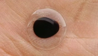 SAMOLEPÍCÍ 3D OČI TRANSPARENT-8MM 20KS 