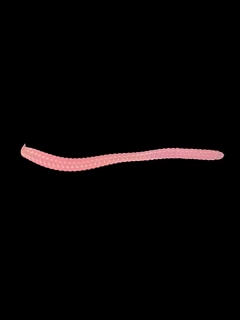 RYVALURES - TROUT WORM 2,8" (7cm) FLUO BUBBLE GUM 20KS