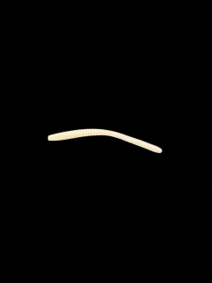 RYVALURES - TROUT WORM 2,8" (7cm) WHITE 20KS