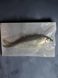 Vakuovaná mražená ouklej obecná 20+cm